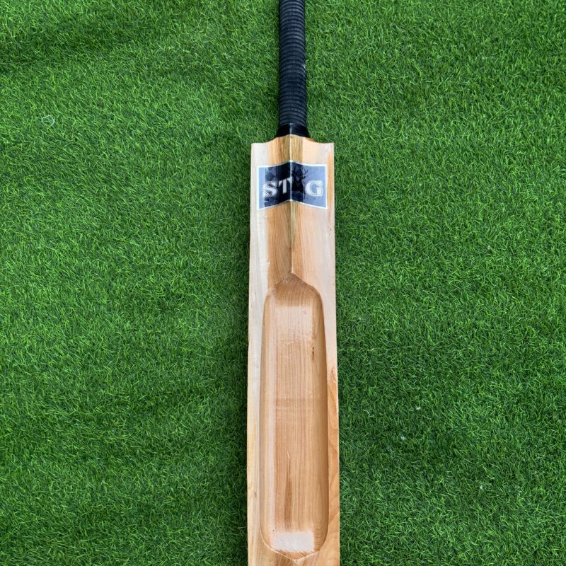 Single Scoop Double - Hard Tennis Bat